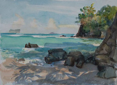 'Paradisio' 8.5" x 12" watercolor on paper  Manuel Antonio Fedral Park, Costa Rica
