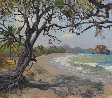 'Playa Brasilito' 14" x 16" oil on panel  Northwest Pacific Coast, Costa Rica